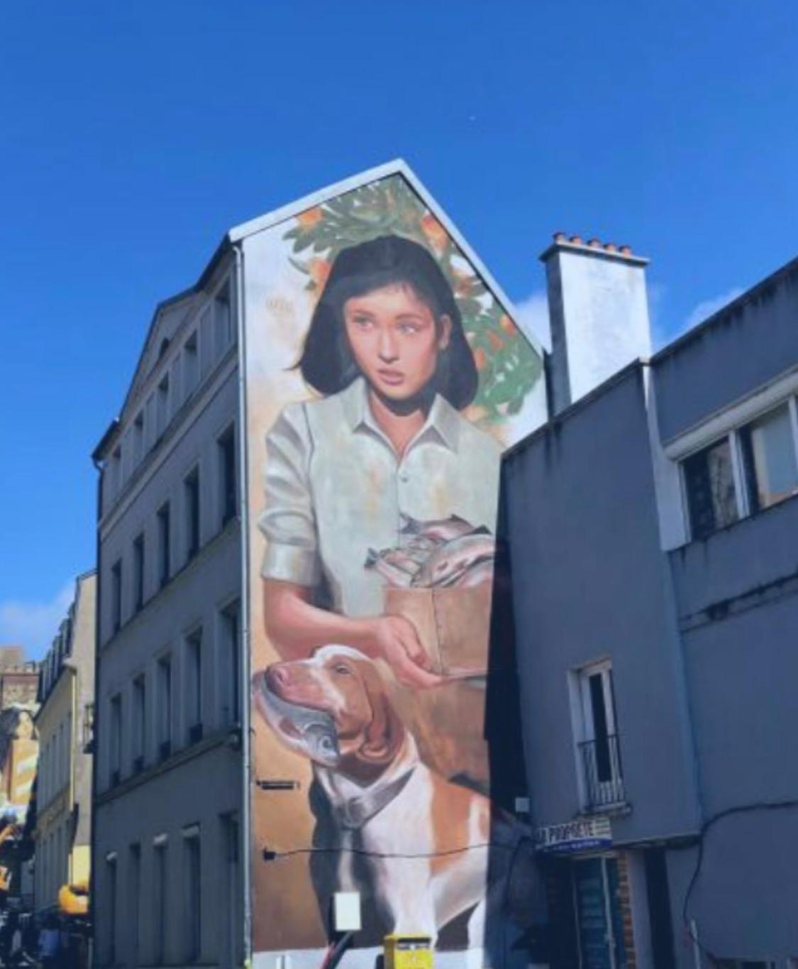 Jungle Appartement Lumineux Plein Centre Boulogne-sur-Mer Luaran gambar