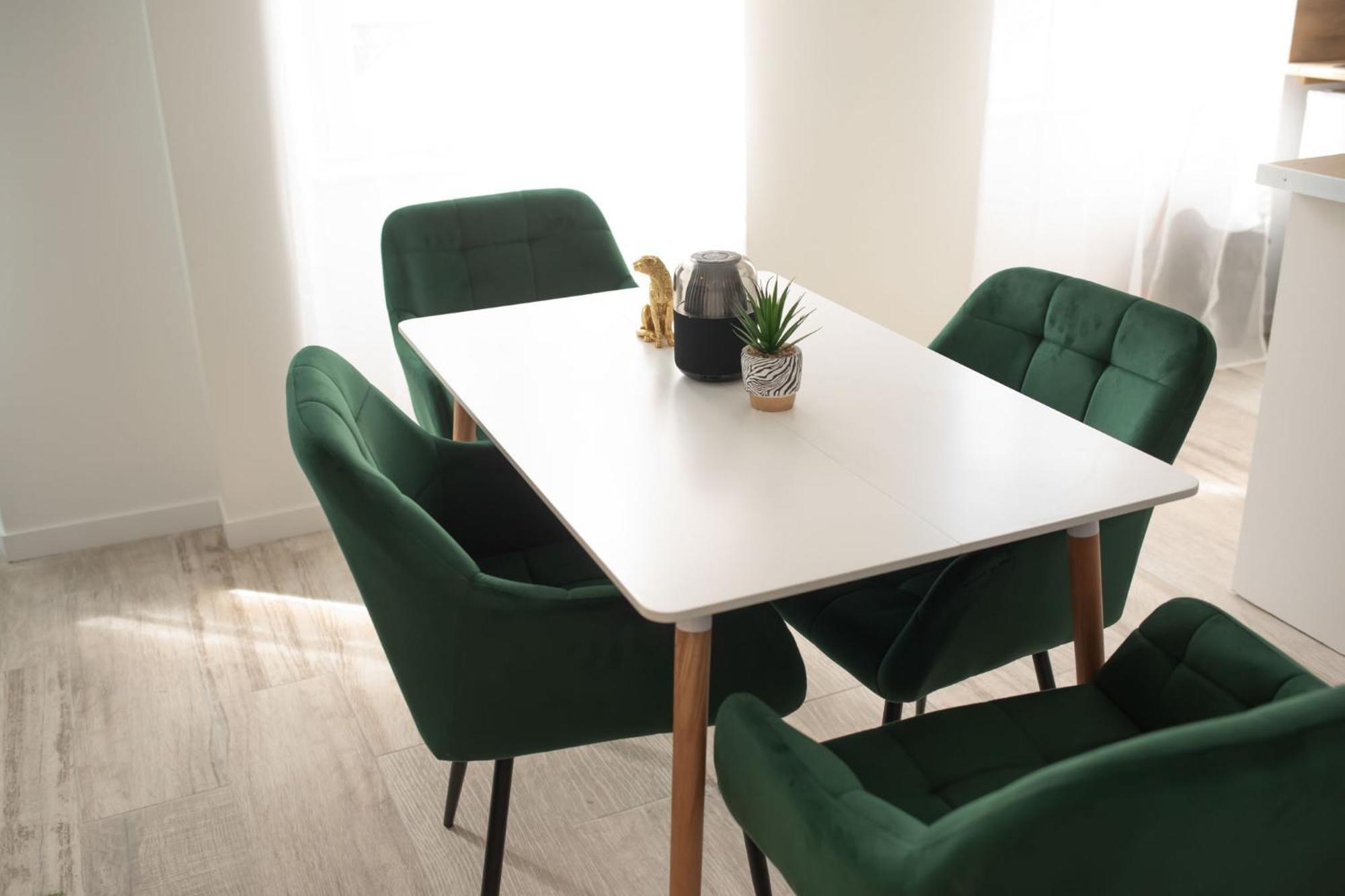 Jungle Appartement Lumineux Plein Centre Boulogne-sur-Mer Luaran gambar