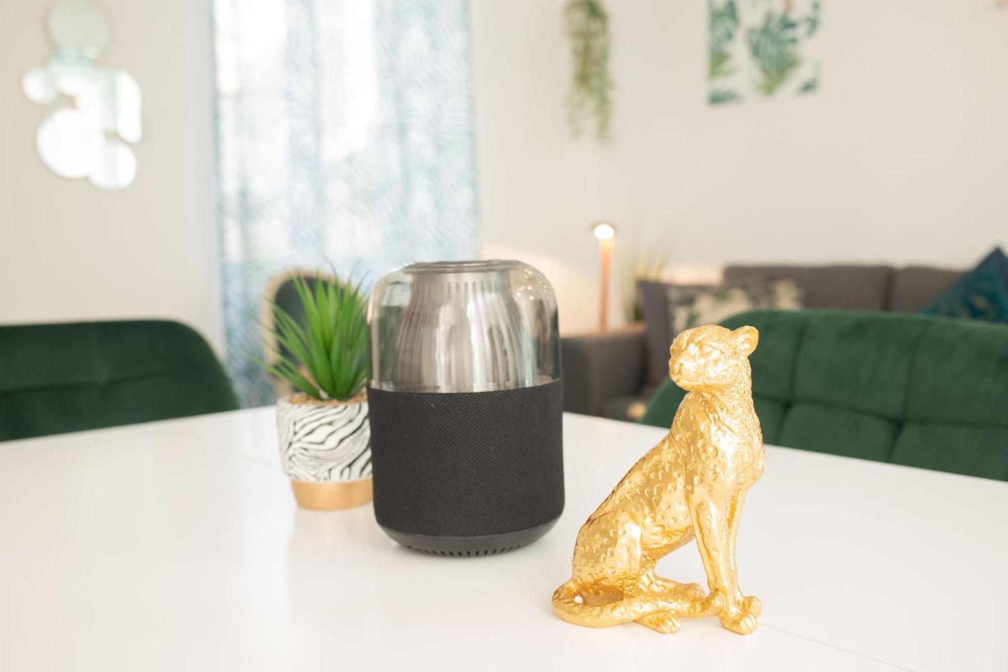 Jungle Appartement Lumineux Plein Centre Boulogne-sur-Mer Luaran gambar