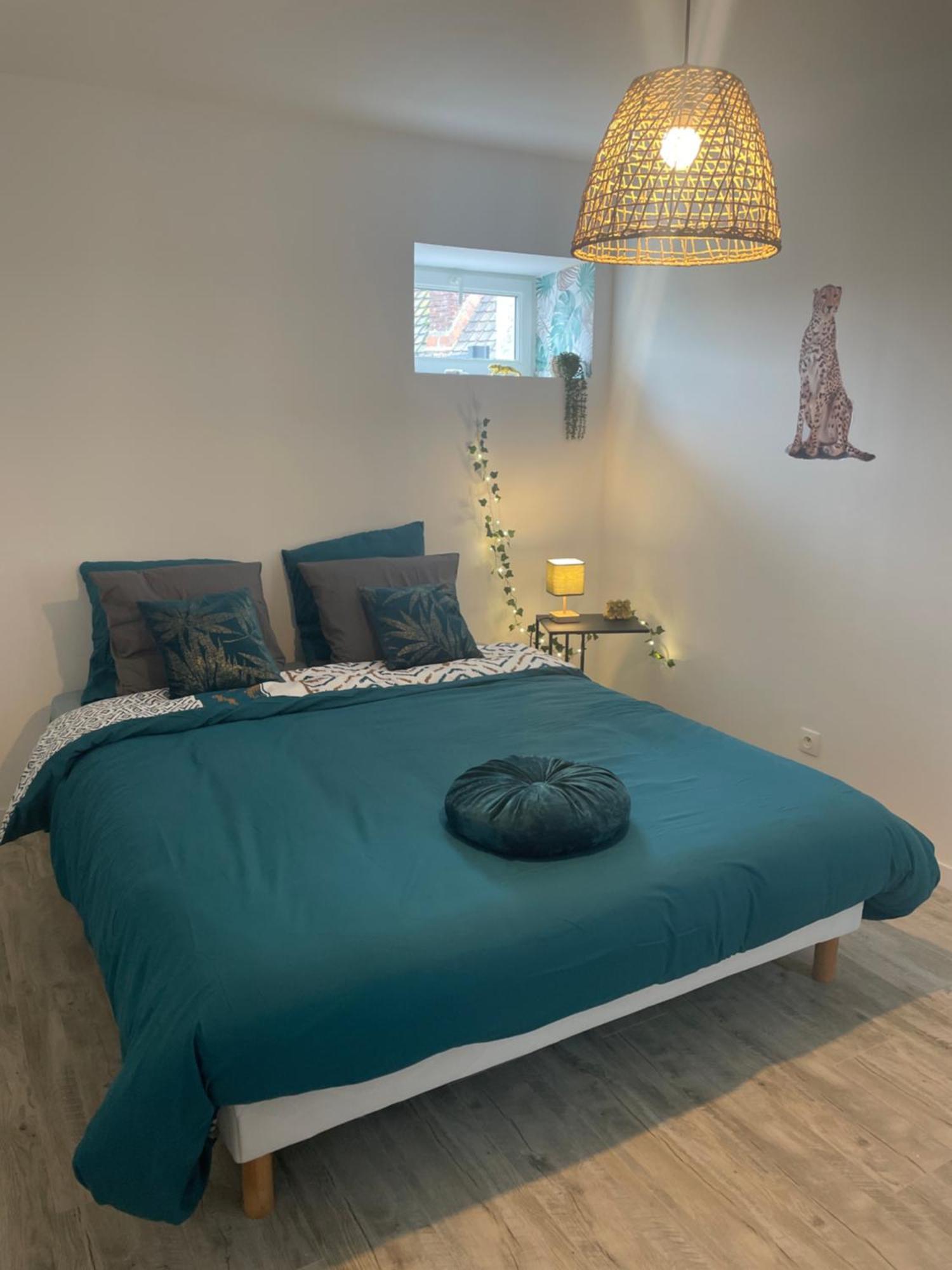 Jungle Appartement Lumineux Plein Centre Boulogne-sur-Mer Luaran gambar