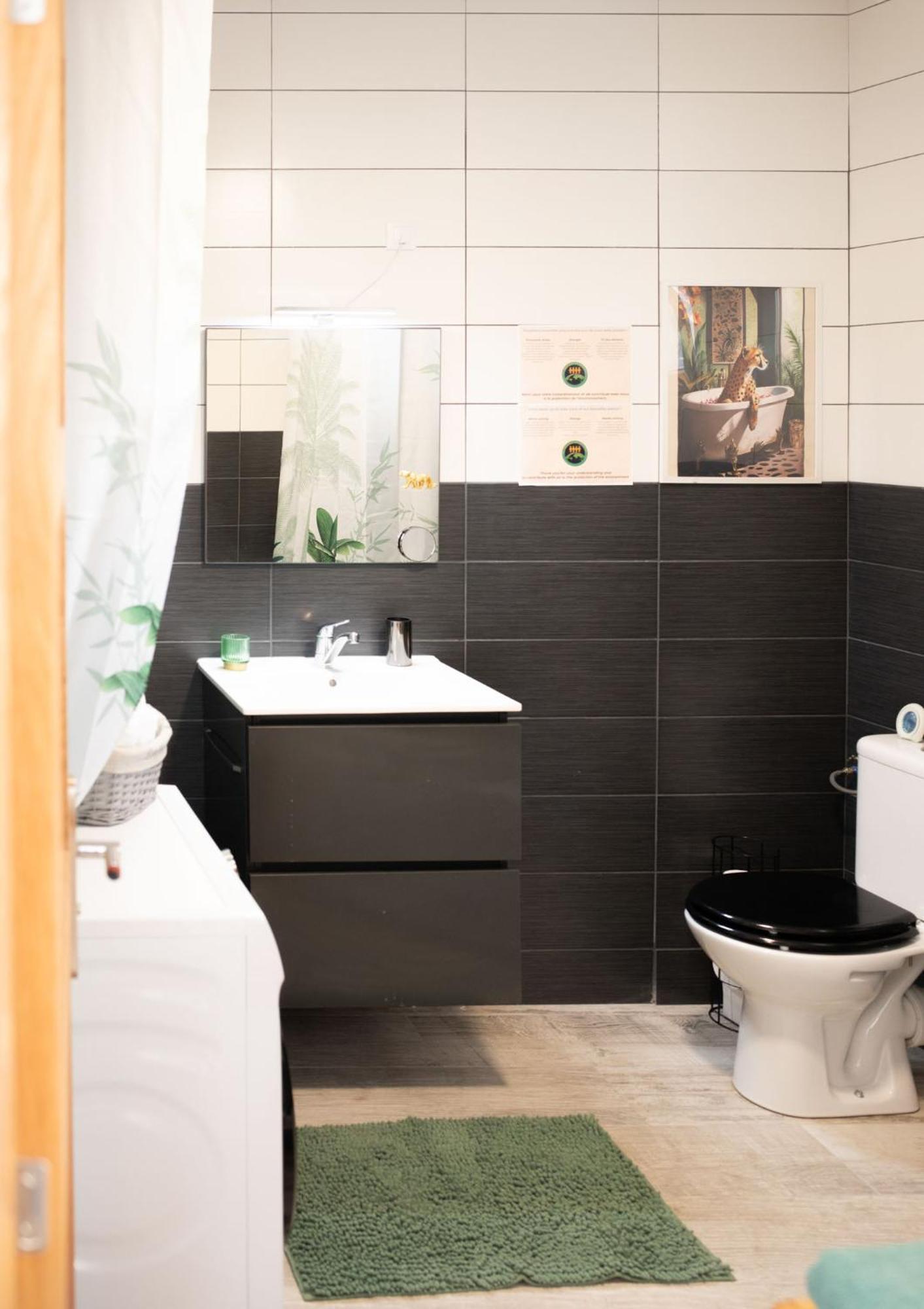 Jungle Appartement Lumineux Plein Centre Boulogne-sur-Mer Luaran gambar