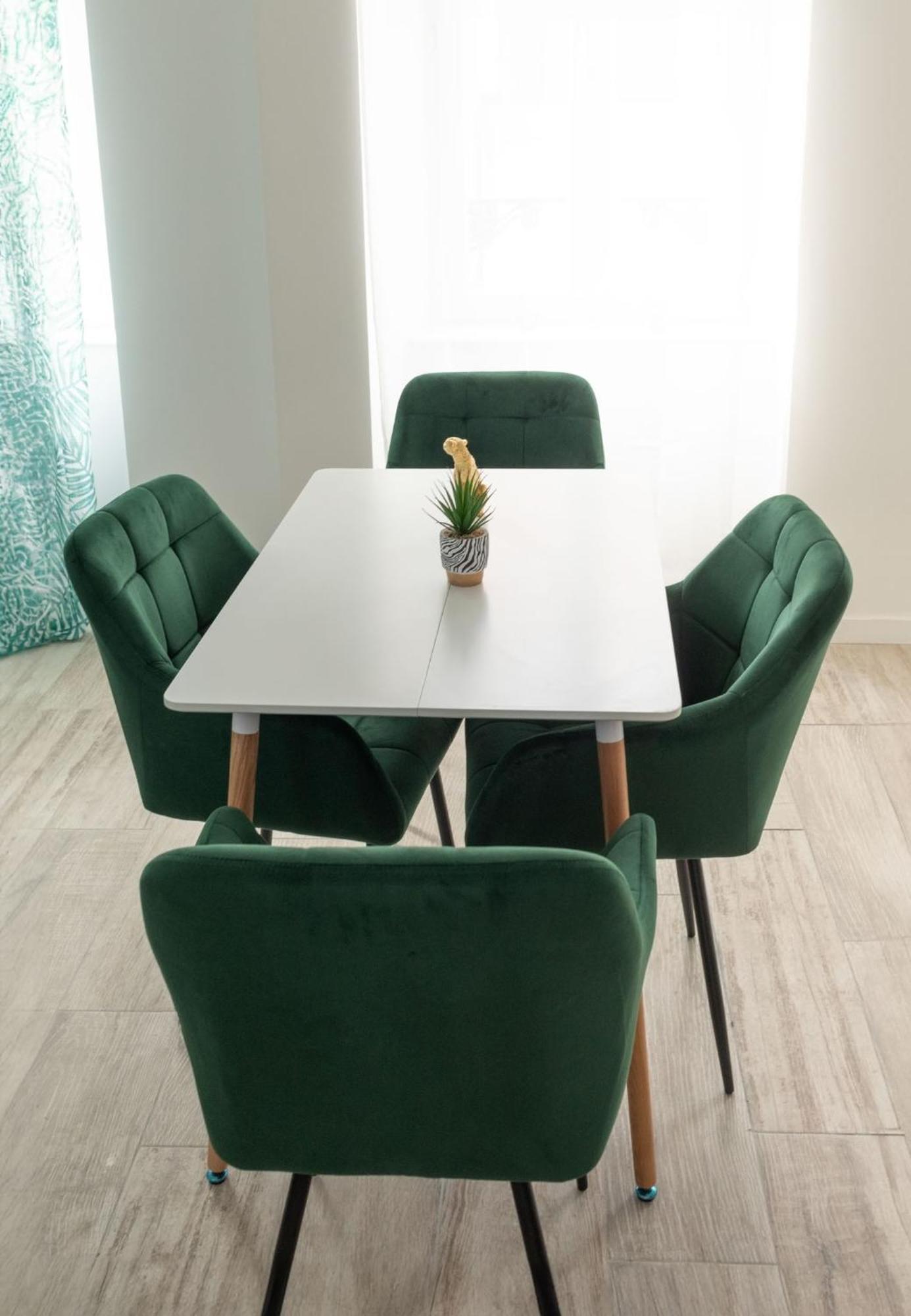 Jungle Appartement Lumineux Plein Centre Boulogne-sur-Mer Luaran gambar