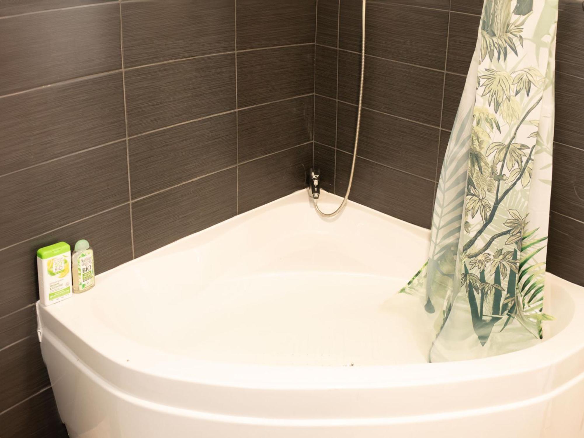 Jungle Appartement Lumineux Plein Centre Boulogne-sur-Mer Luaran gambar